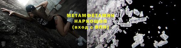 прущие грибы Балахна
