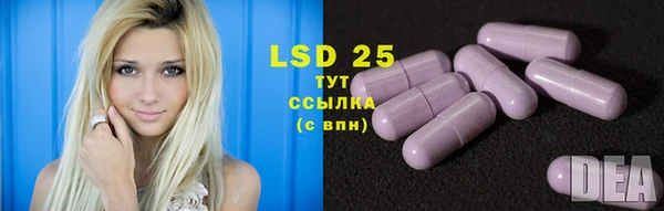 дживик Баксан