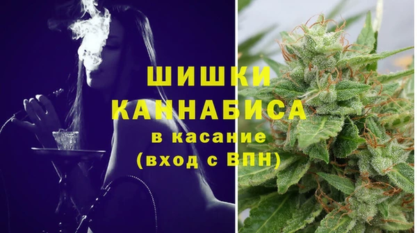 прущие грибы Балахна