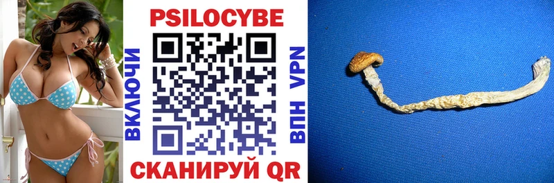 Псилоцибиновые грибы GOLDEN TEACHER  Бежецк 